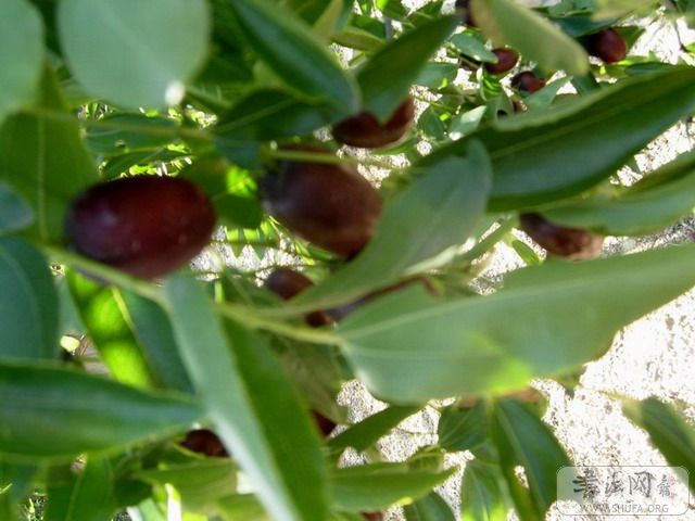 DSCN4492.JPG