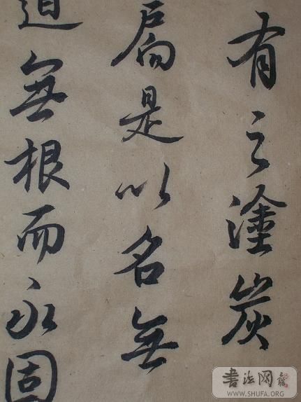 100_0833.JPG