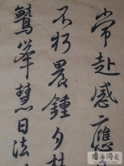 100_0826.JPG