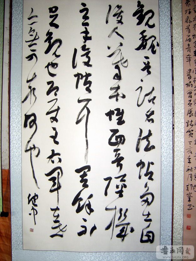 S8002761.jpg