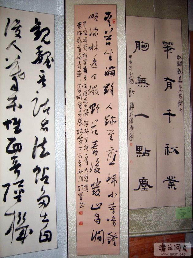 S8002762.jpg