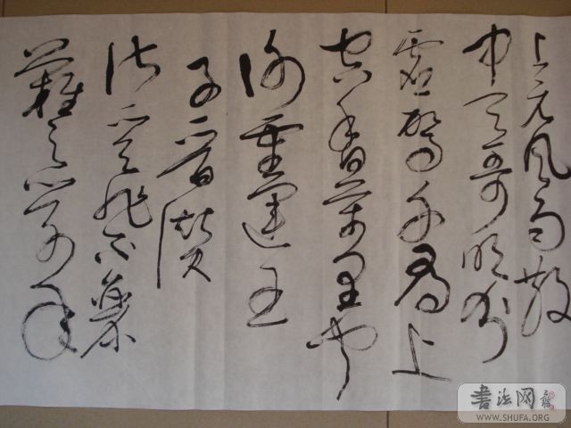 DSC00648.JPG