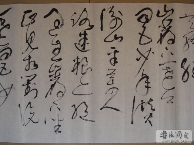 DSC00650.JPG