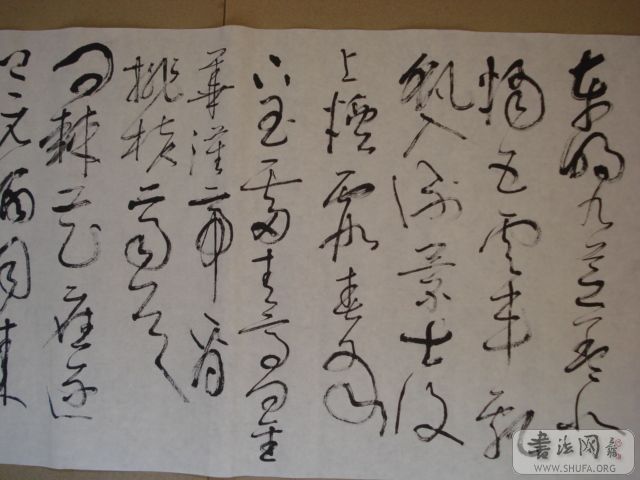 DSC00646.JPG