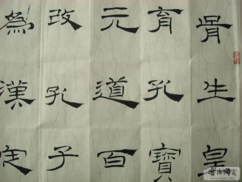 DSC00252.jpg