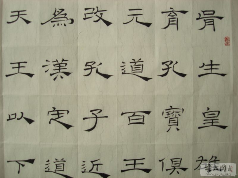 DSC00259.jpg