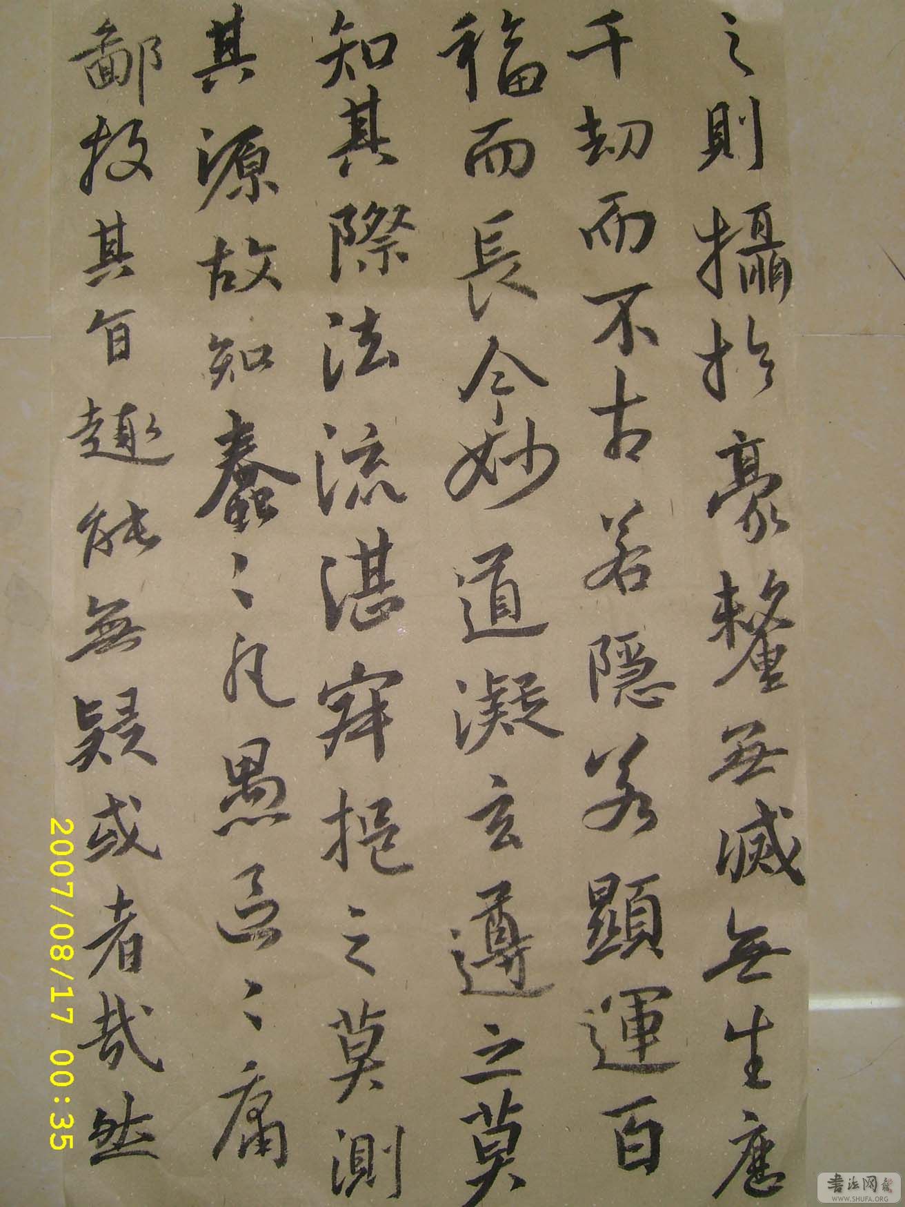 STP62502.JPG