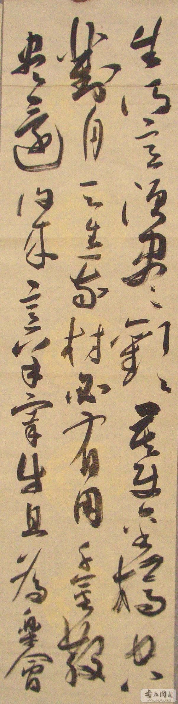 CIMG2959  2.JPG
