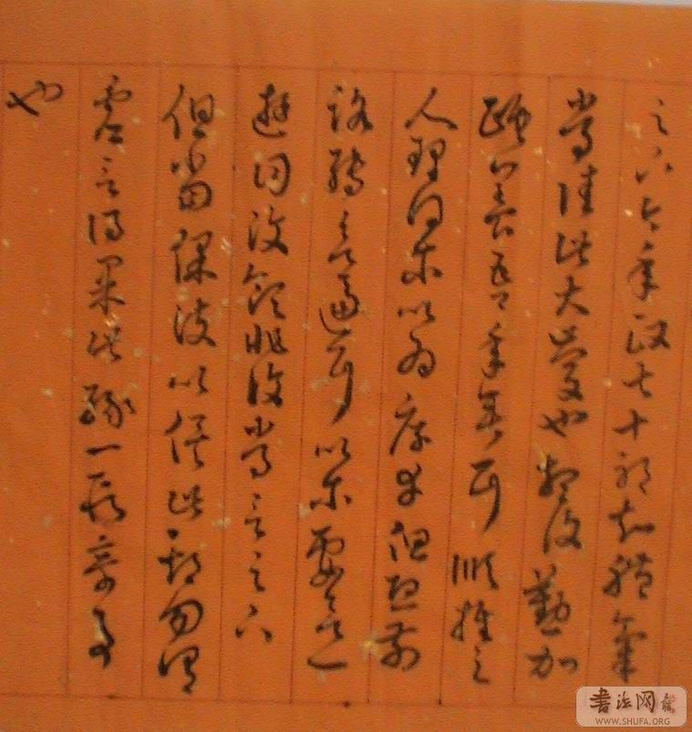 ��ת DSC05696.JPG