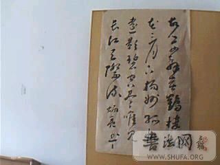 ͼƬ 008.jpg