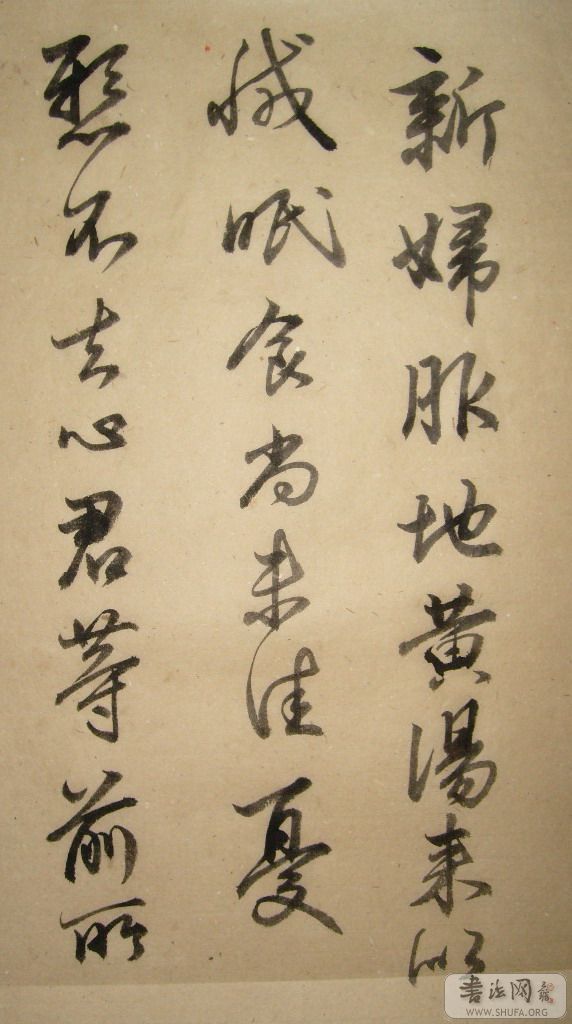 S7301455.JPG
