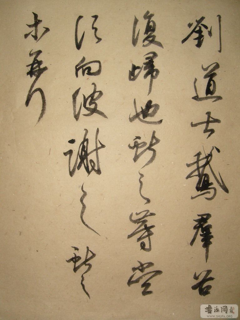 S7301458.JPG