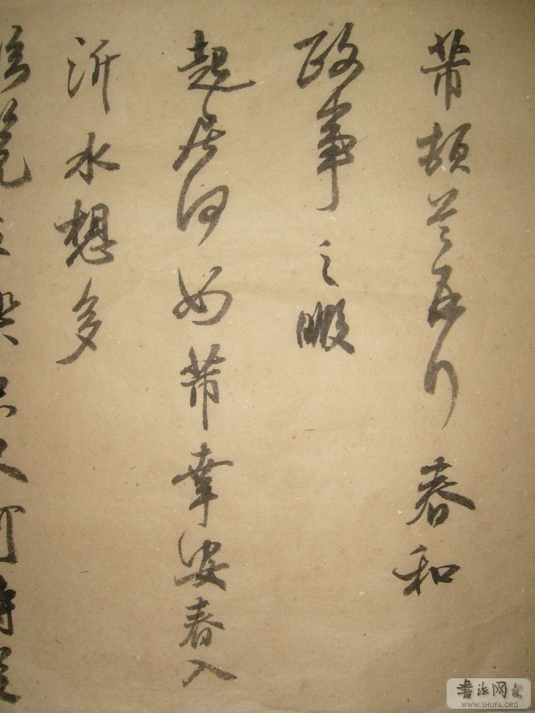 S7301452.JPG