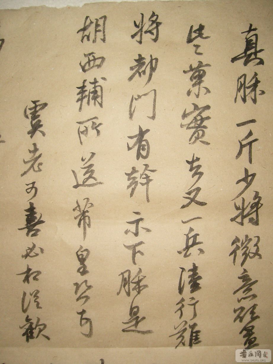 S7301418_С.JPG