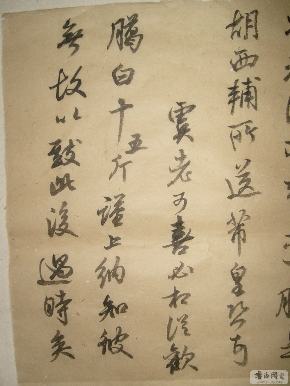 S7301419_С.JPG
