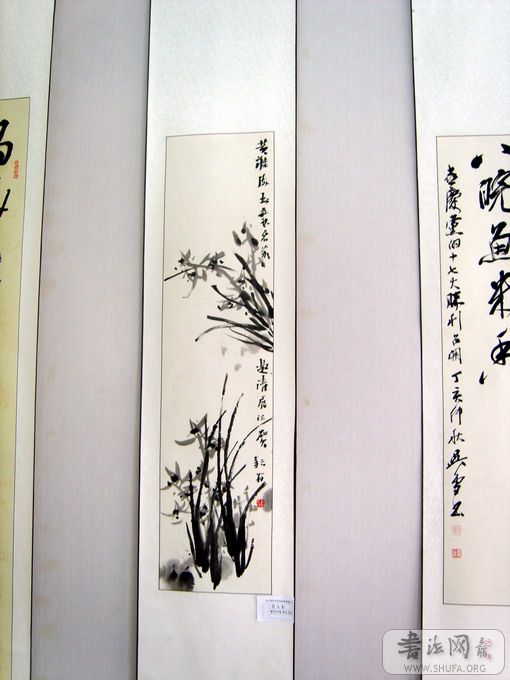 S8002958.JPG