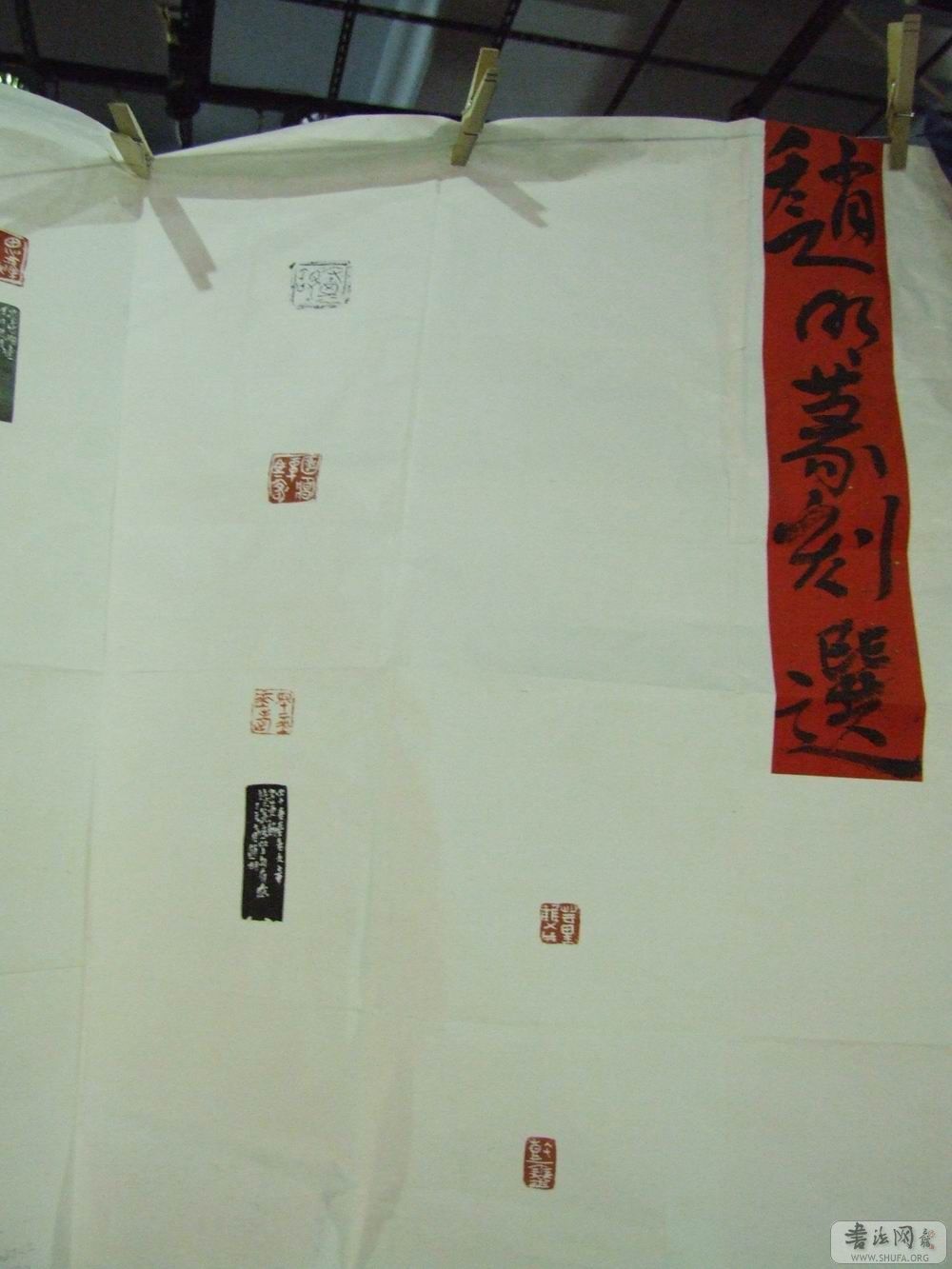 DSCF5015.JPG