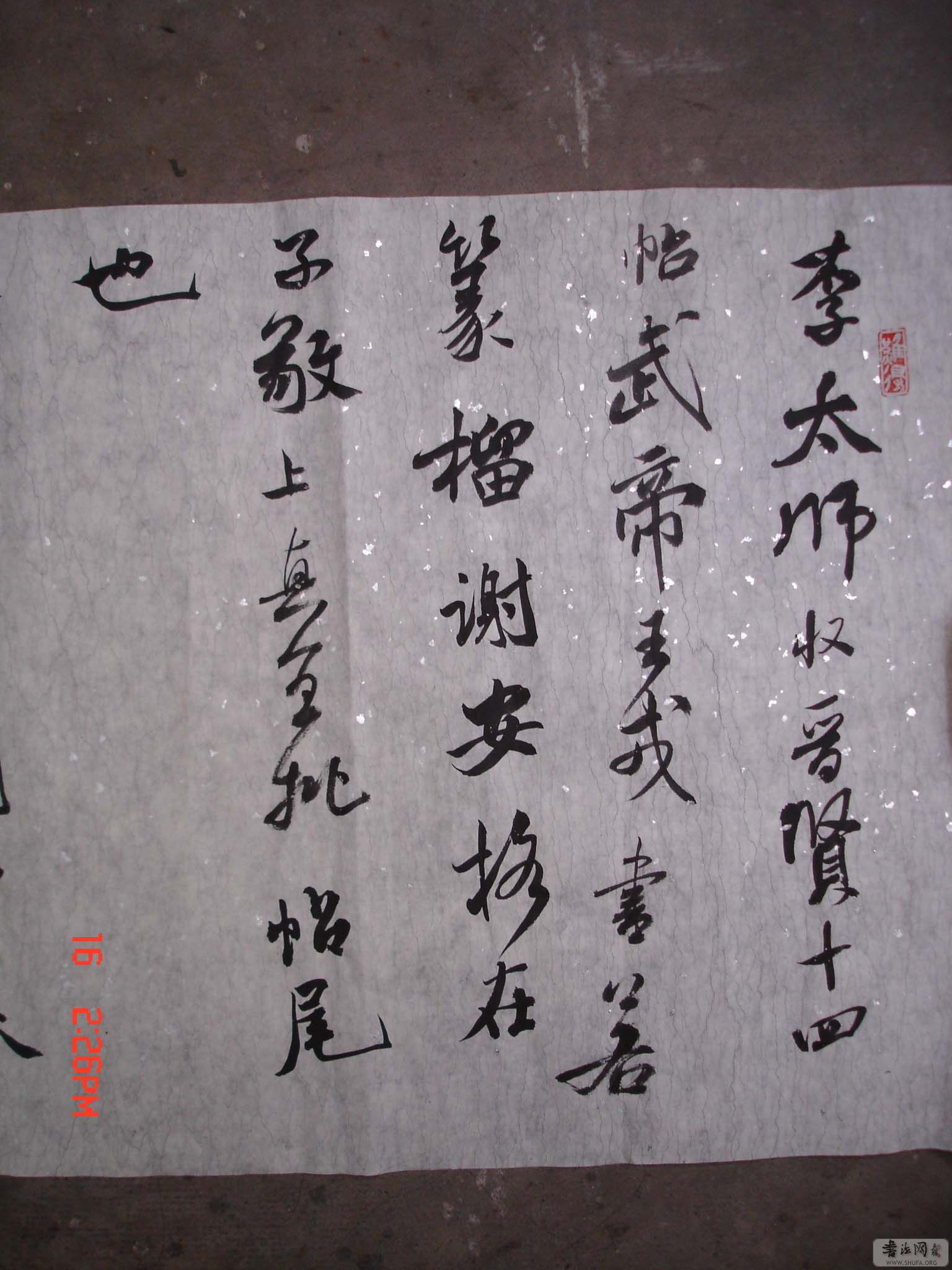 DSC00162.JPG