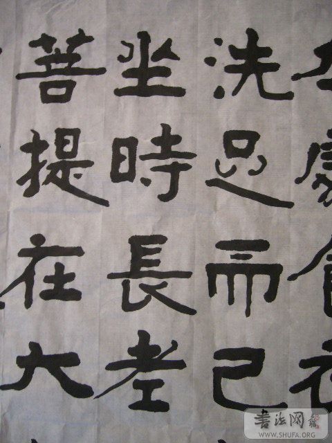 P1000392.JPG