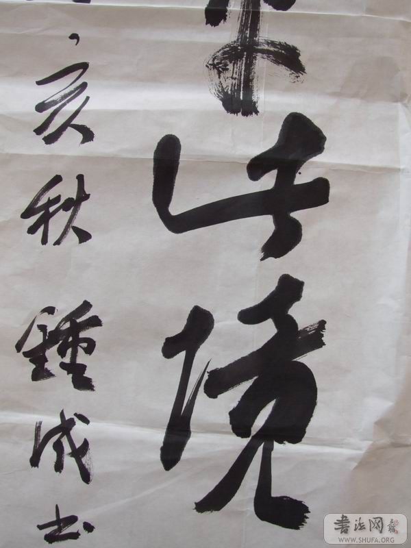 DSCF6784.JPG