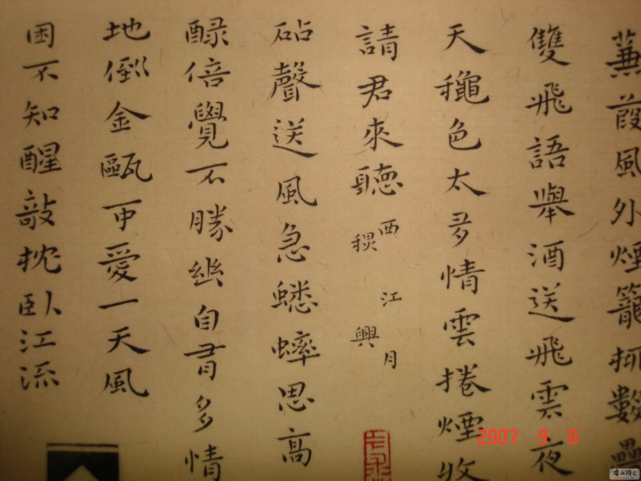DSC00181.jpg
