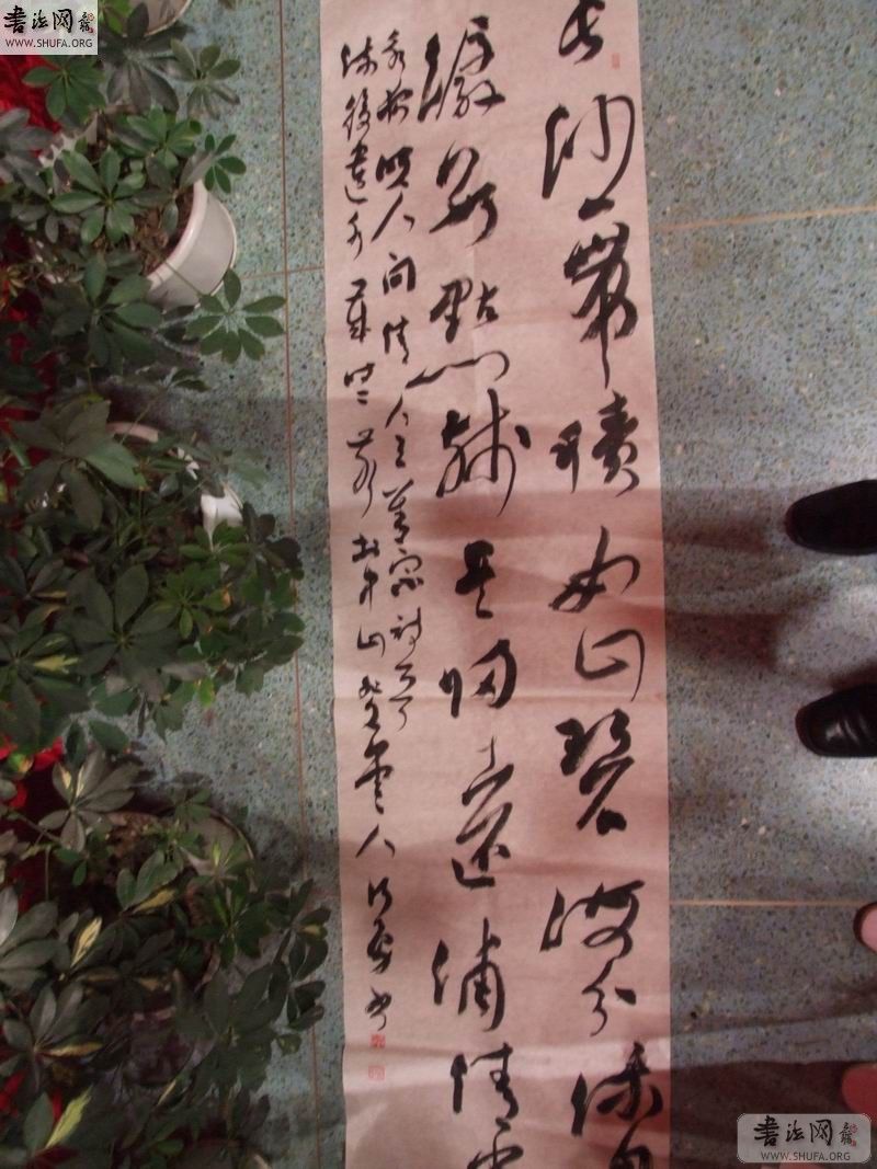 DSCF7165.JPG