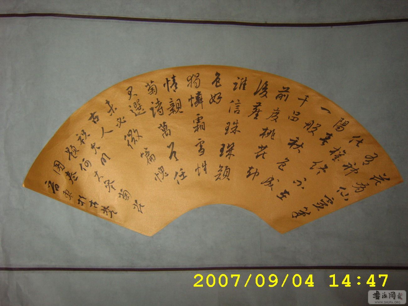 STA61284.JPG