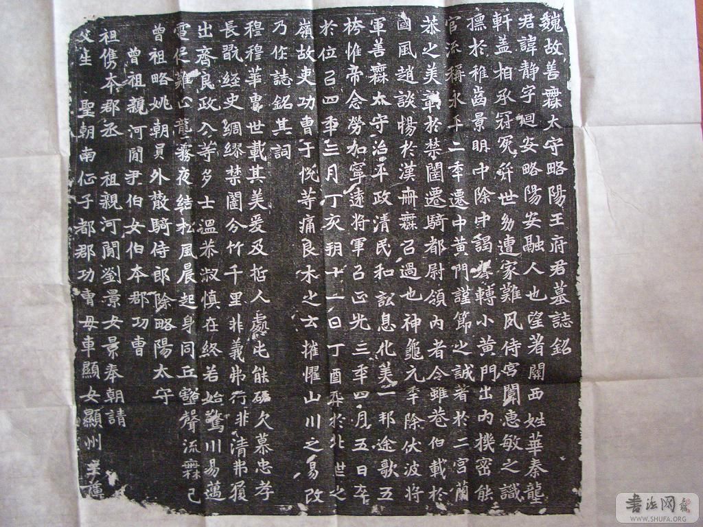 CIMG2985.jpg