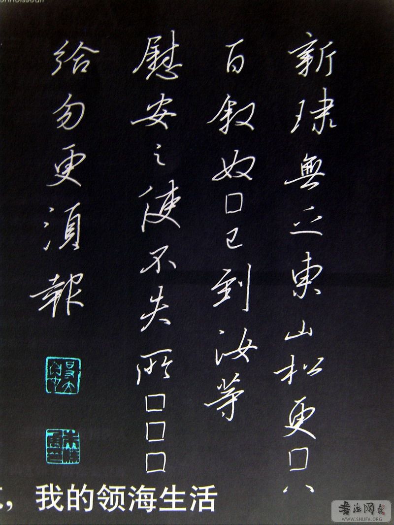 DSC07355.JPG