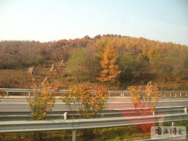 Img_2525.jpg