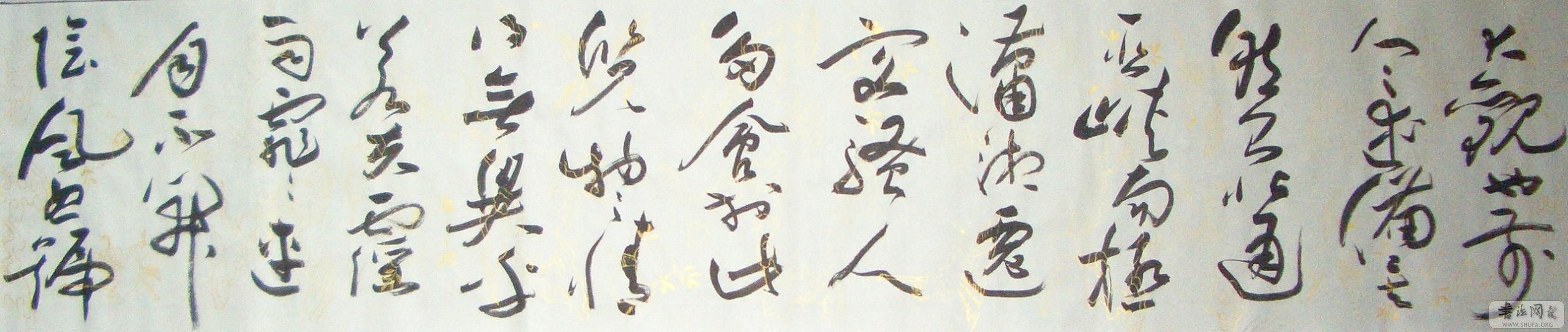 CIMG2291.JPG