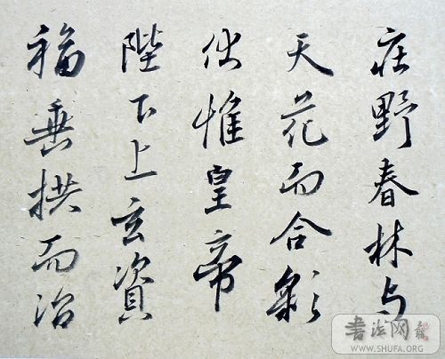 P1040147.JPG
