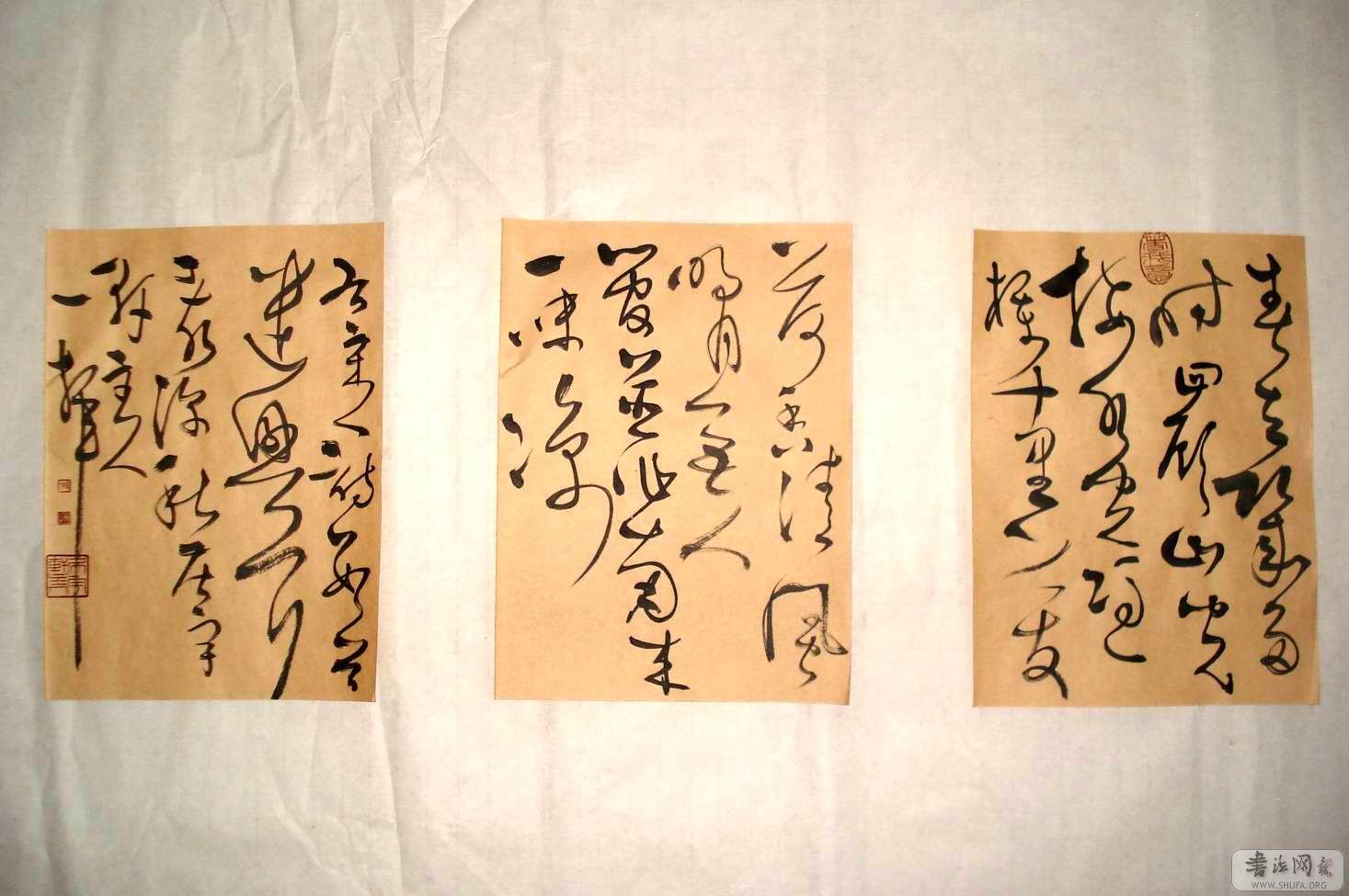 ع С DSC02349.JPG