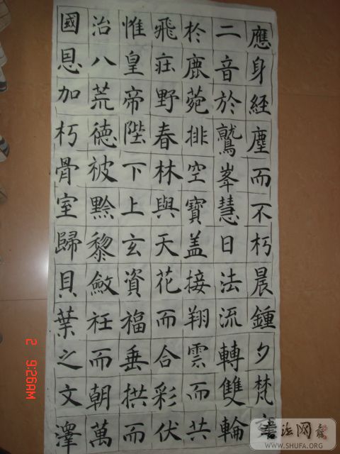 DSC01517.JPG