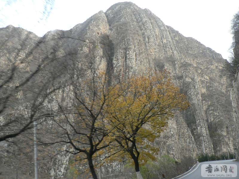 P1120830.JPG