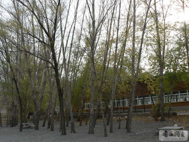 P1120805.JPG
