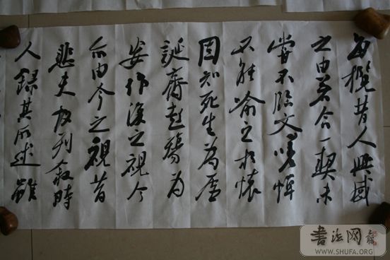 IMG_3572.JPG