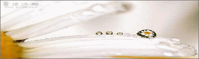 1_10_f51620afc411158.gif