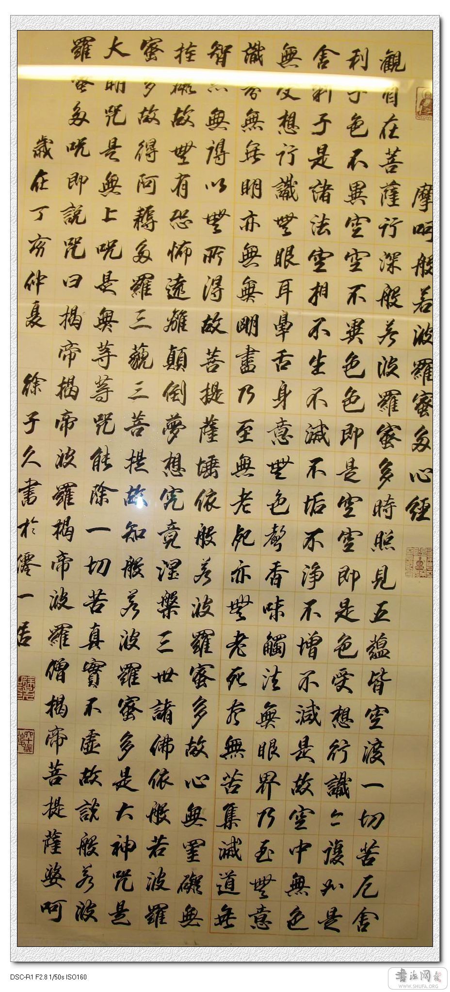 DSC05388_nEO_IMG.jpg