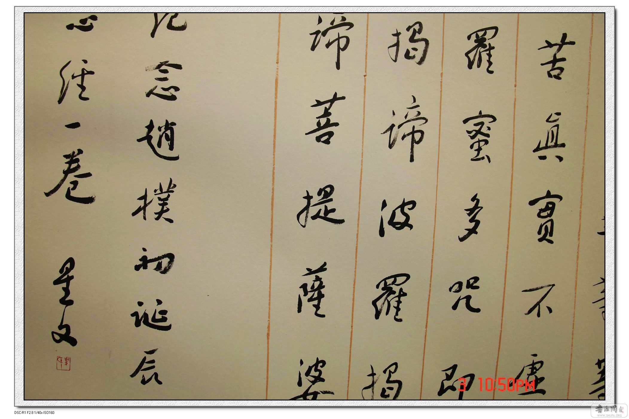 DSC05403_nEO_IMG.jpg