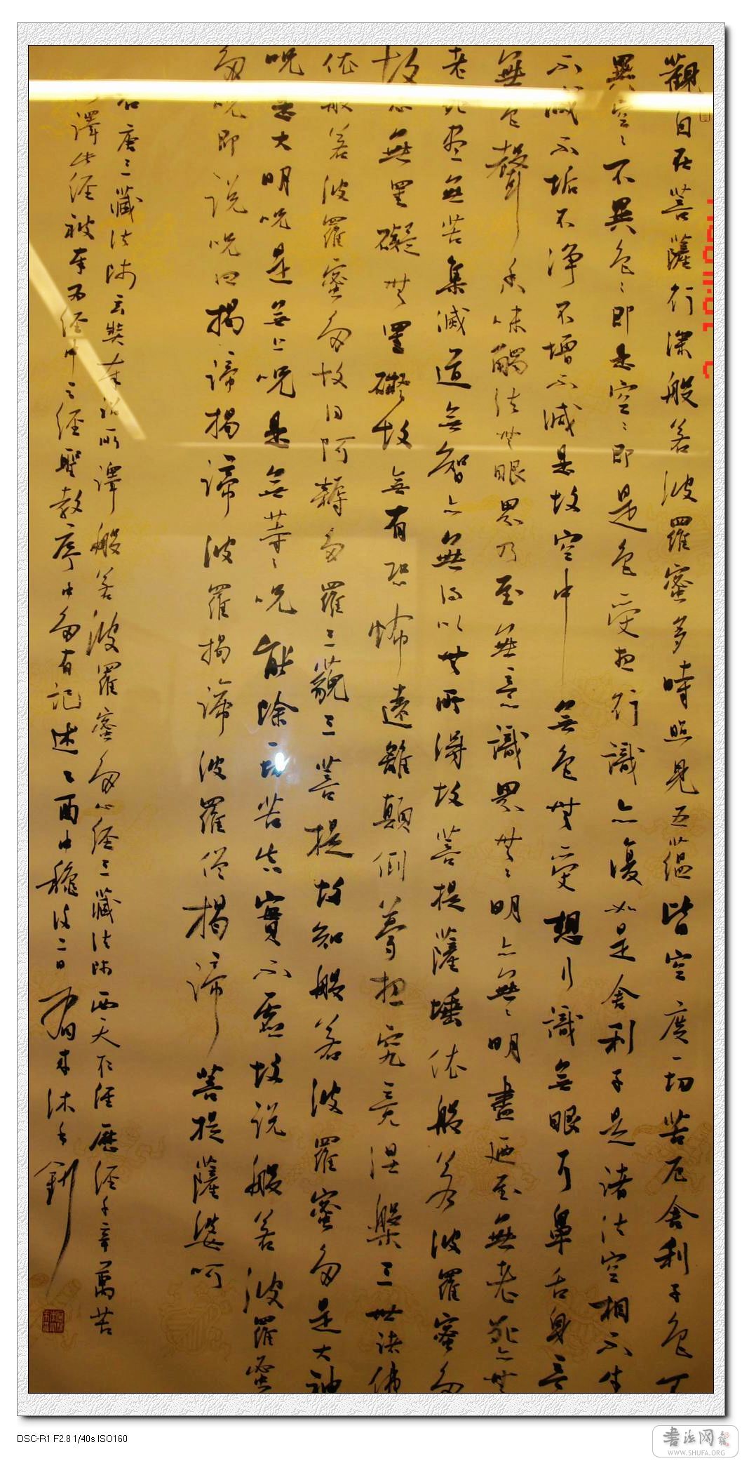 DSC05396_nEO_IMG.jpg