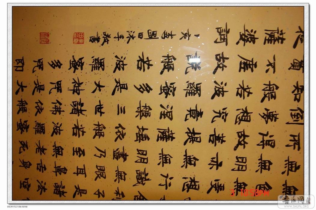DSC05440_nEO_IMG.jpg