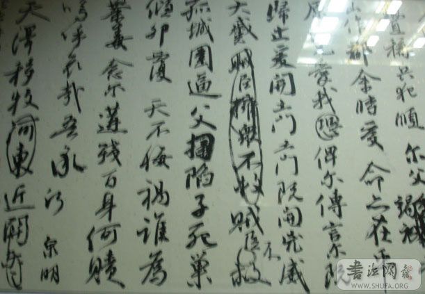DSC01017.JPG