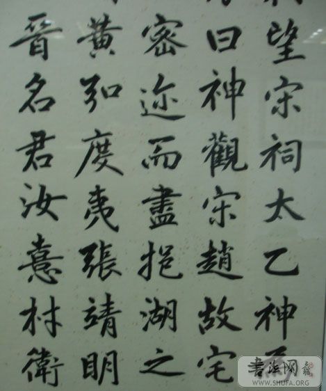 DSC01020.JPG