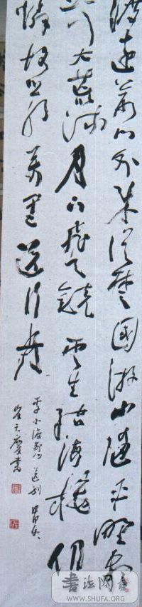 鷨1.jpg
