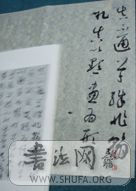 PB110462.JPG
