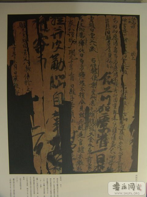 DSC00024.jpg