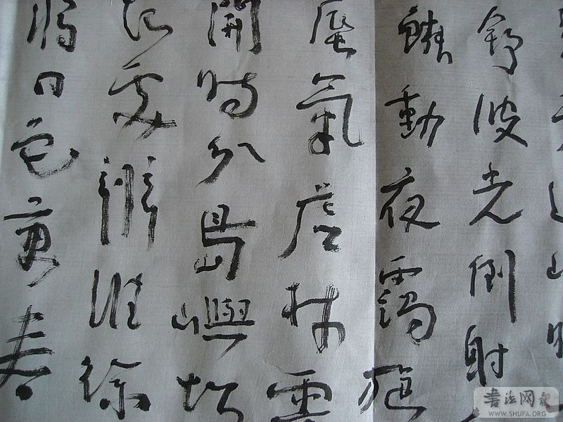 DSC06427.JPG