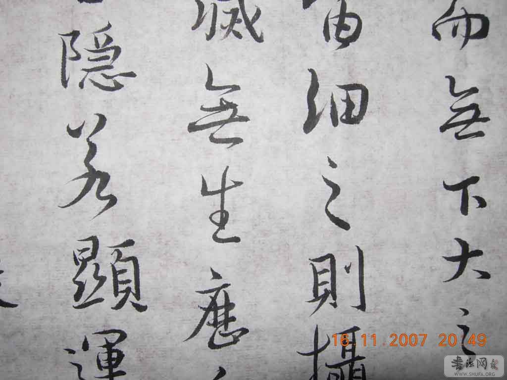 DSCN7528.jpg