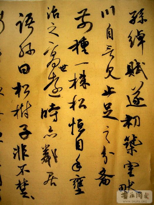 S7301824_С_С.JPG